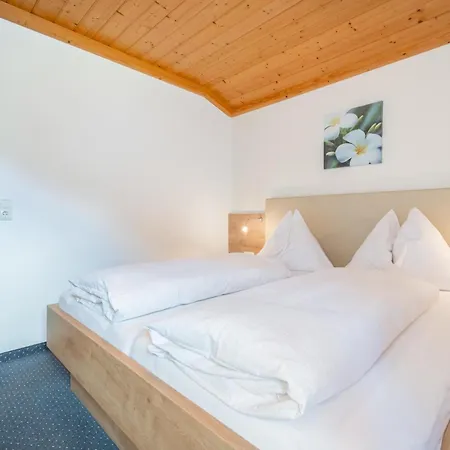 Eder Ii Apartment Saalbach-Hinterglemm